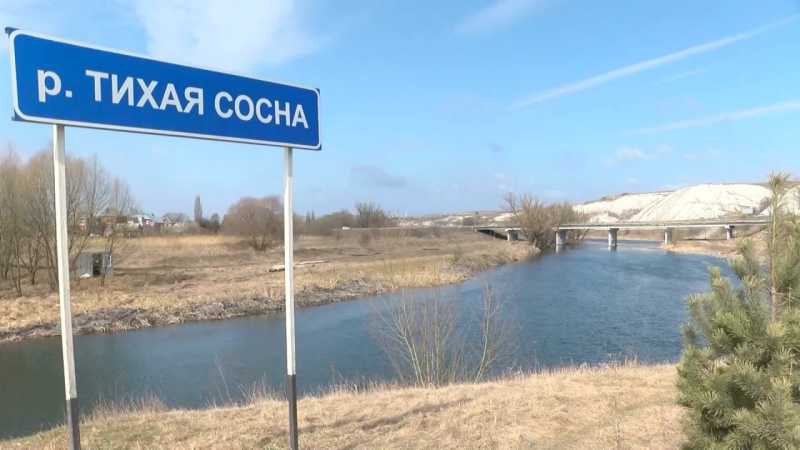 В Алексеевском округе очистили реку Тихая Сосна