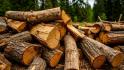 В Белгородской области выполнена половина плана по заготовке дров для населения