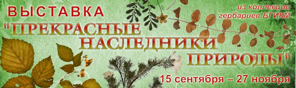 Выставка «Прекрасные наследники природы» в Белгородском историко-краеведческом музее