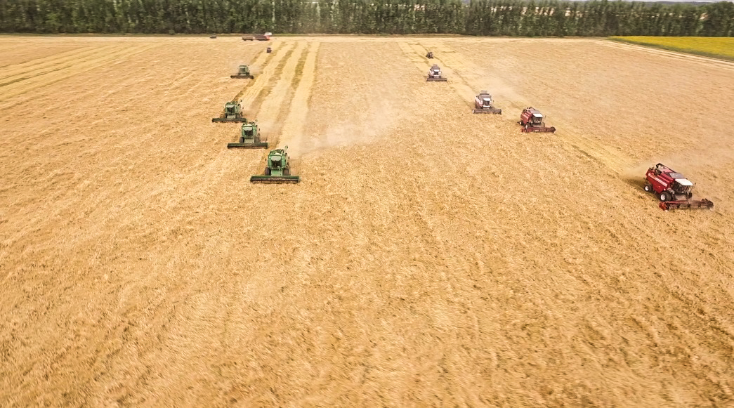урожай зерновых в Белгородской области 