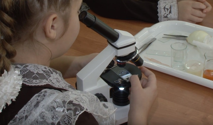 девочка смотрит в микроскоп