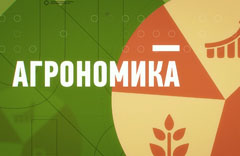 логотип программы «Агрономика»