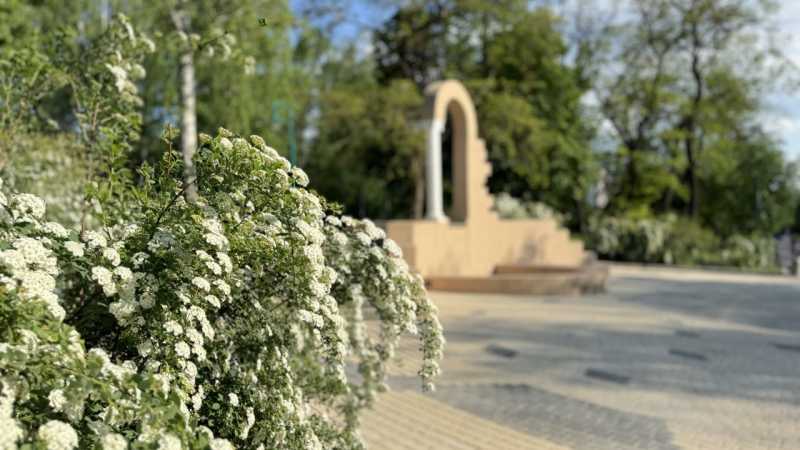 В центральном  парке Белгорода появится новая входная группа, ещё один фонтан и креатив-таун