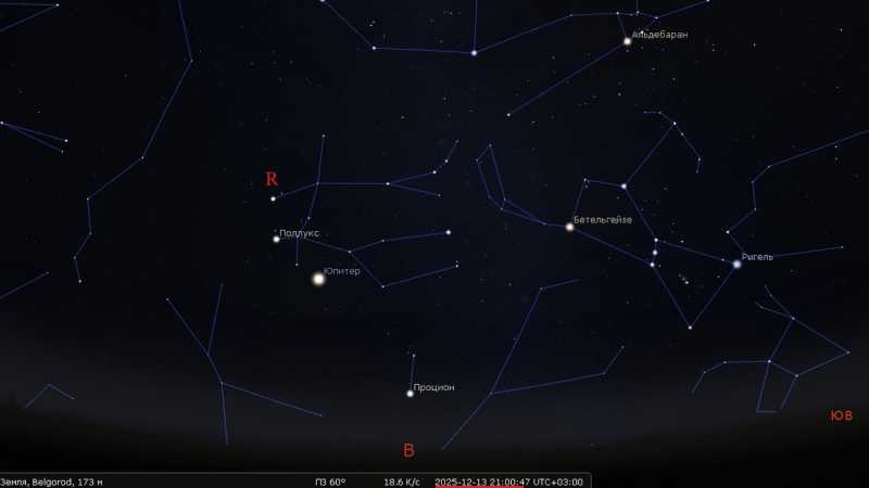 Белгородцы смогут увидеть самый яркий звездопад года