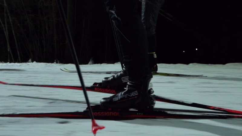  Гладков: в январе  велолыжероллерная трасса «Олимпия» приняла более 6,5 тысяч человек