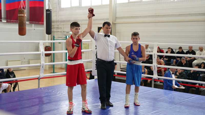 В Старом Осколе завершилось Первенство Белгородской области по боксу среди юношей и юниоров