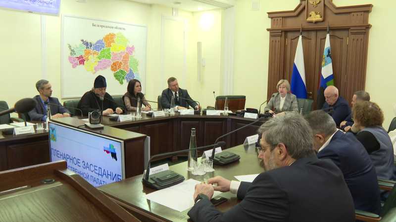 Общественная палата Белгородской области обсудила подготовку к единому дню голосования