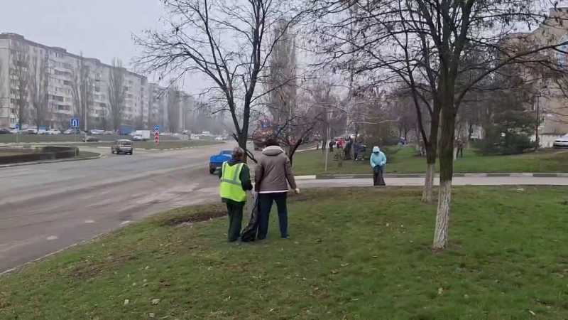 Сегодня в Старооскольском округе проходят субботники