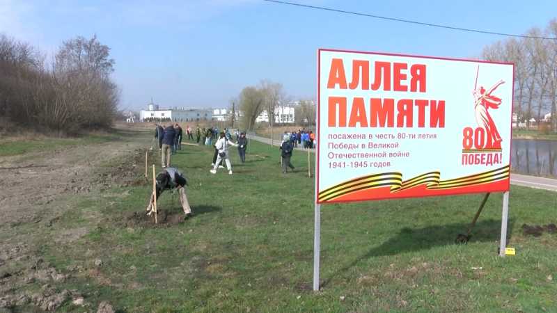 На экологический субботник в Алексеевке вышли более 250 человек