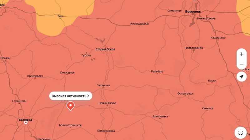 Аллергикам на заметку: в Белгородской области – пик цветения берёзы и ольхи