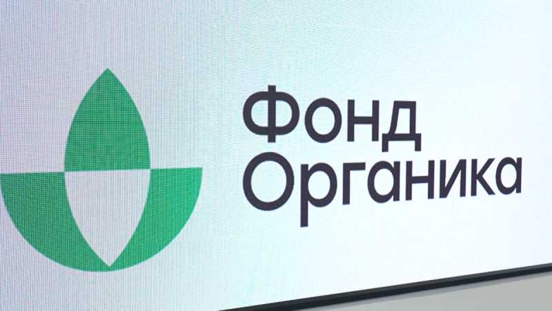 Белгородские школьники стали участниками конкурса от фонда «Органика»
