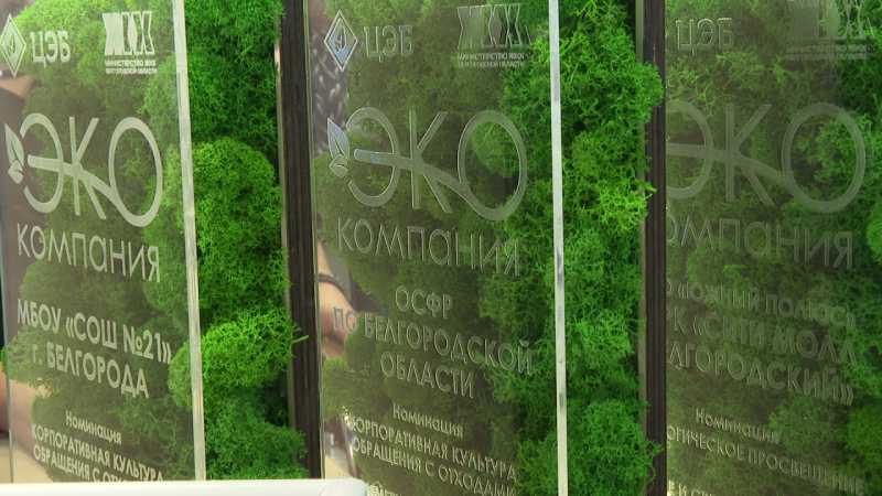 В Белгороде провели конкурс «ЭКОкомпания»