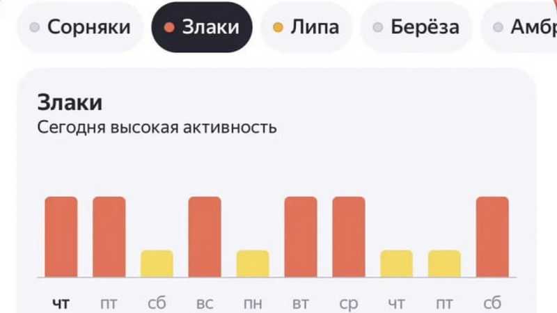 Белгородских аллергиков предупредили о высокой активности пыльцы злаков и липы 