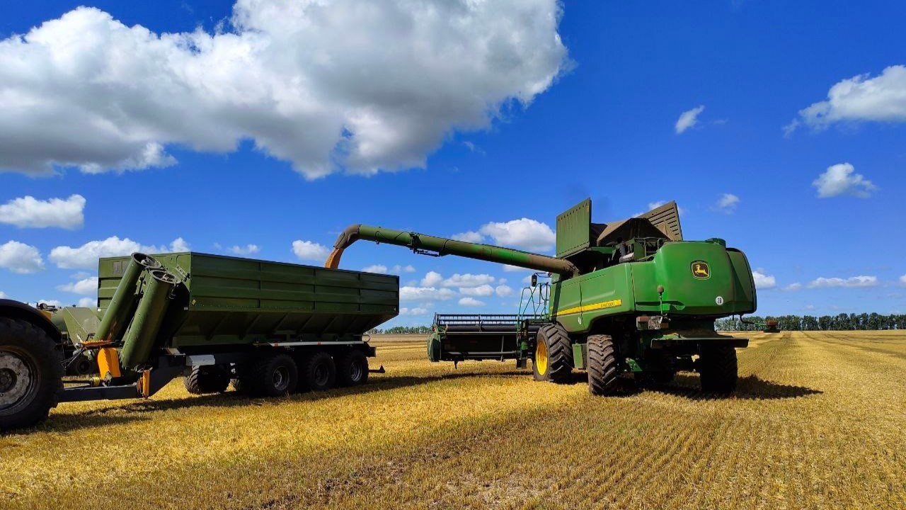 Белгородские аграрии уже убрали половину урожая зерновых