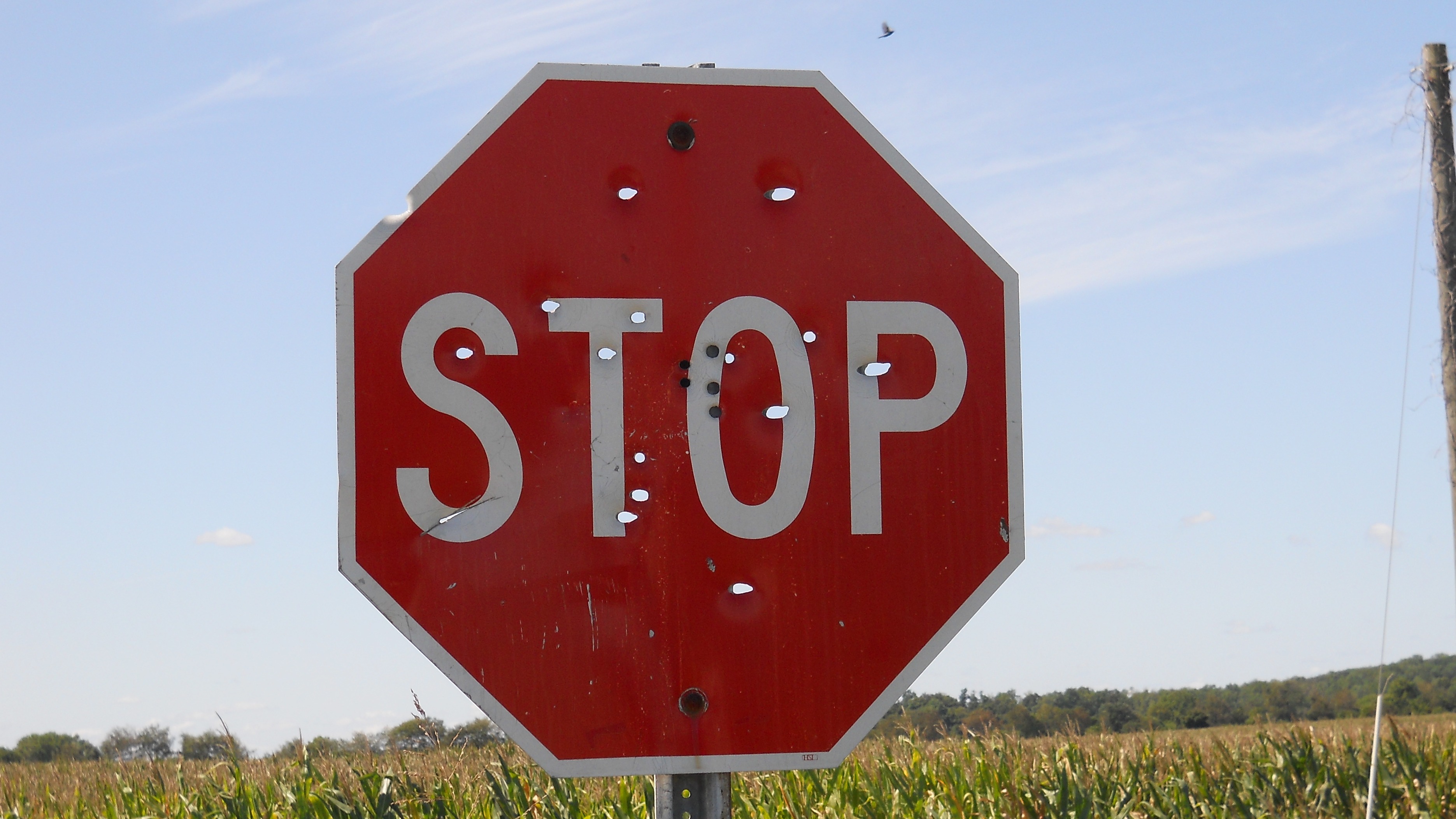 cropped-Target practice Southern Indiana style - panoramio