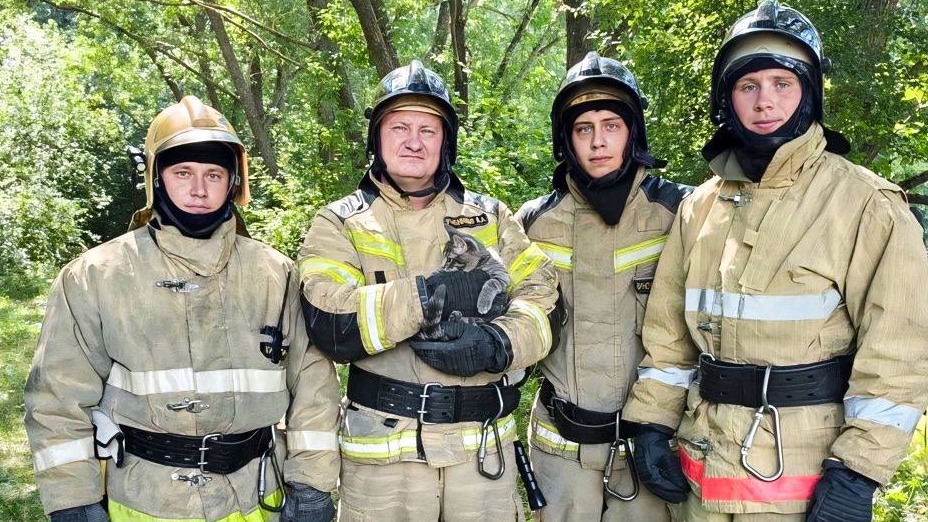 В Белгороде  пожарные МЧС сняли с дерева сбежавшего кота