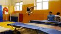 Для старооскольских спортивных школ, ведущих подготовку резерва в сборные команды РФ, приобрели новое оборудование