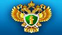 Белгородца оштрафовали за уклонение от прохождения альтернативной гражданской службы 