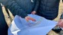 В Губкине началось преображение городского пляжа