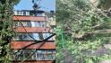 Коммунальщики устраняют последствия непогоды в Белгороде