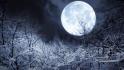 5 декабря белгородцы смогут увидеть последнее полнолуние этого года