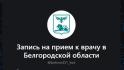 Вячеслав Гладков напомнил о чат-боте для записи к врачу в MAX