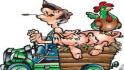 В Короче День работника сельского хозяйства отметят ярмаркой