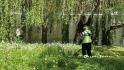 В Белгороде обновляют цветочное оформление