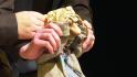 Белгородский театр кукол отметил своё 60-летие