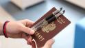 47 белгородских выпускников сдали ЕГЭ на 100 баллов