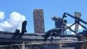 128 БПЛА атаковали Белгородскую область 28 июня