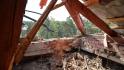 313 БПЛА атаковали Белгородскую область 1 октября
