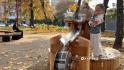 В парке Ленина Белгорода открылась интерактивная детская площадка с водным комплексом