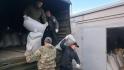 К зиме готовы: для диких животных белгородский Экоохотнадзор заготовил восемь тонн пшеницы