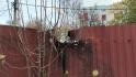  366 дронов атаковали Белгородскую область 30 октября