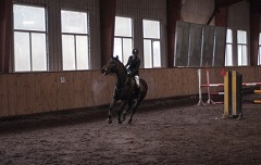 лошадки
