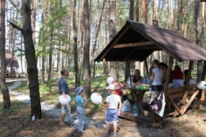 Пикник парк белгород беседки схема