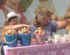 На фестивале в Борисовке выберут самую большую луковицу нового урожая