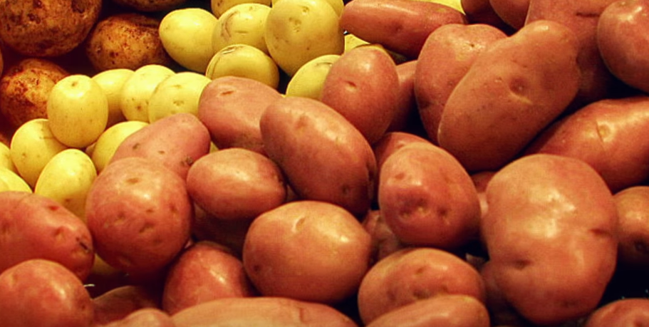 Фестиваль картофеля