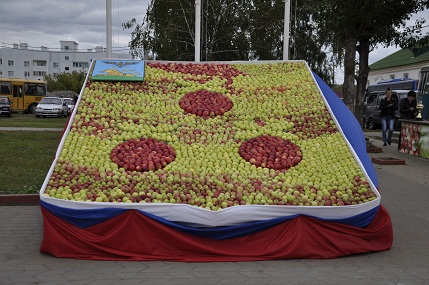 В Корочанском районе установили новый национальный рекорд, выложив герб территории из 3 тыс. яблок