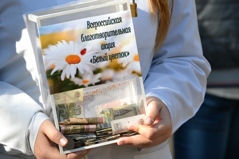 Благотворительная акция «Белый цветок» в Белгороде