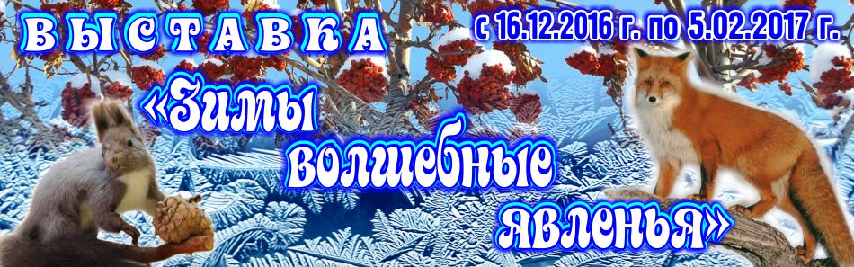 Выставка «Зимы волшебные явленья» в Белгороде