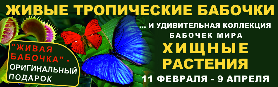 Выставка «Живые тропические бабочки и хищные растения» в Белгороде