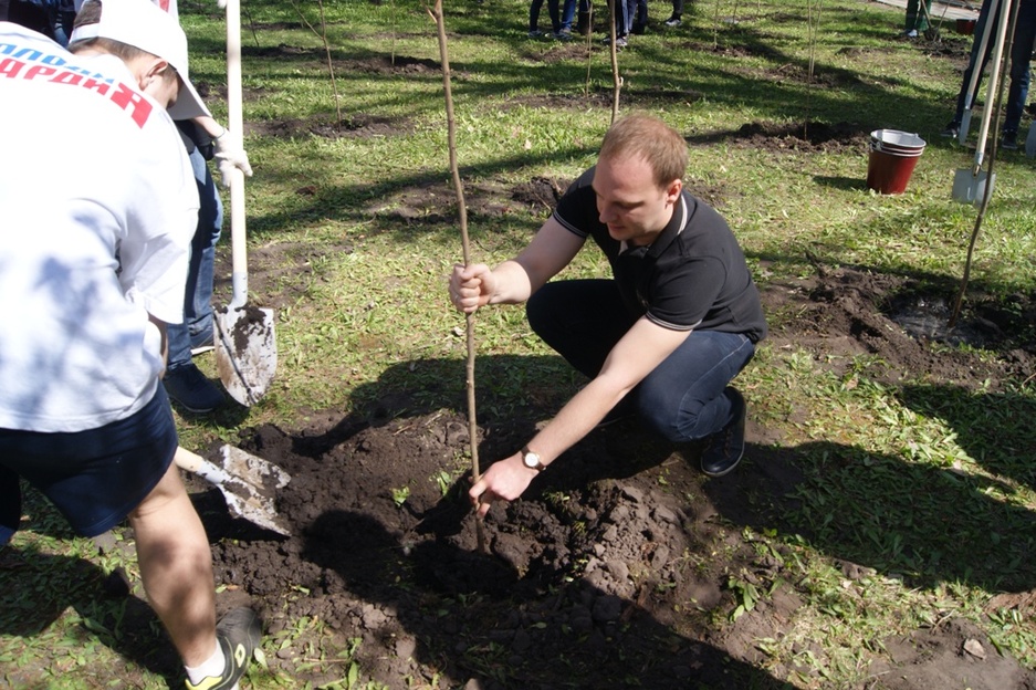 посадка деревьев в Центральном парке культуры и отдыха в Белгороде