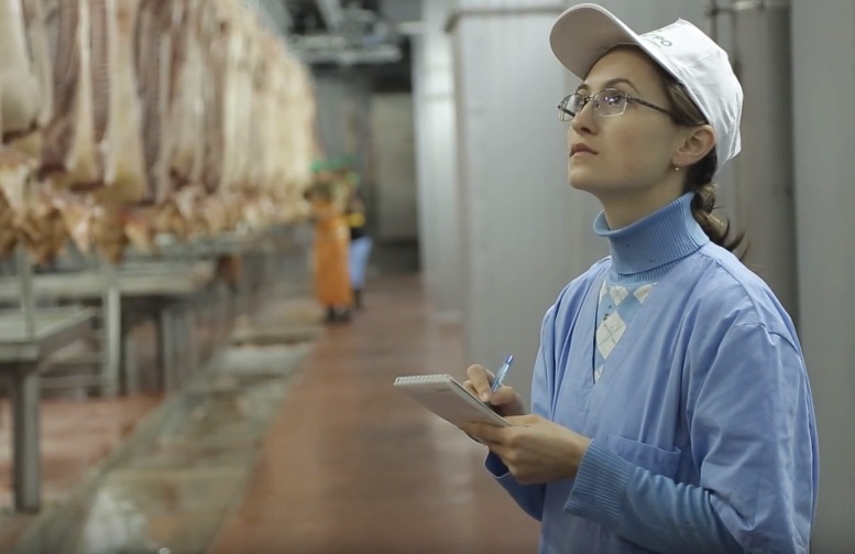 производство свинины в Белгородской области
