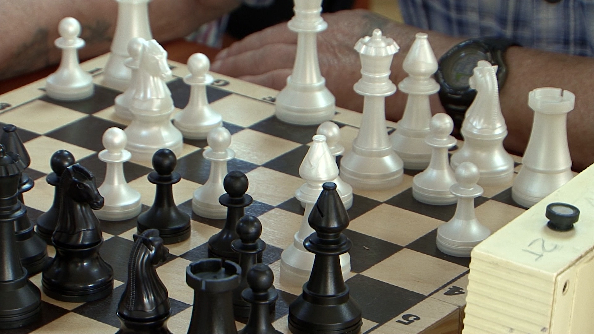 шахматный спорт 