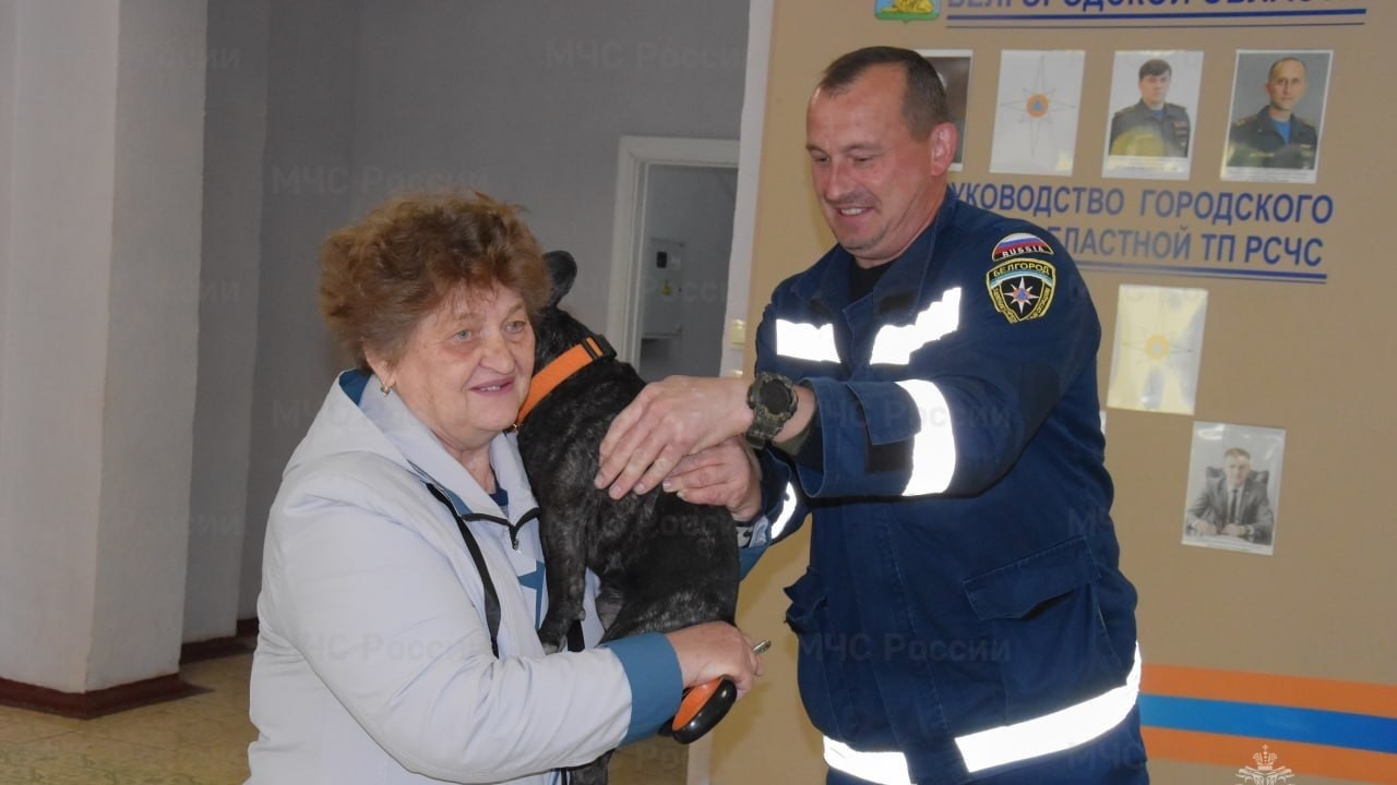 Сотрудники МЧС спасли пропавшую собаку 