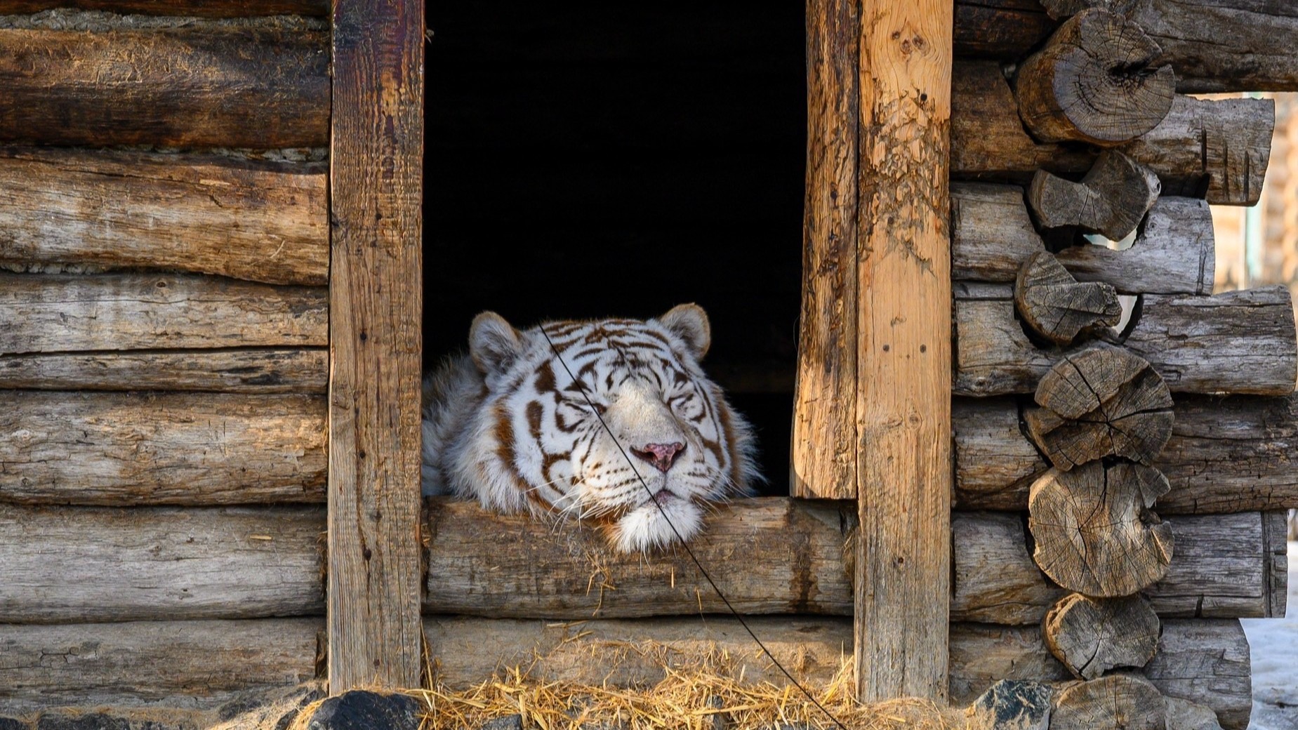 cSP myhV9WM0v7NbzITxq5JvFDIFXYKZhRRfYDmz7SWNpBlOdv CESW96uYmgJU2ejqcfzlRfzGLA tX99PdK3tZ