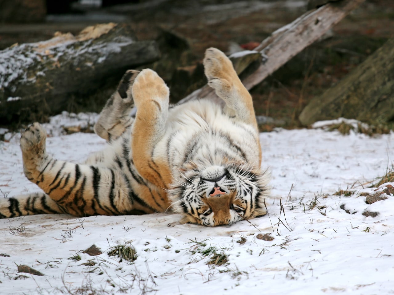 photo 2022 12 16 15 04 34