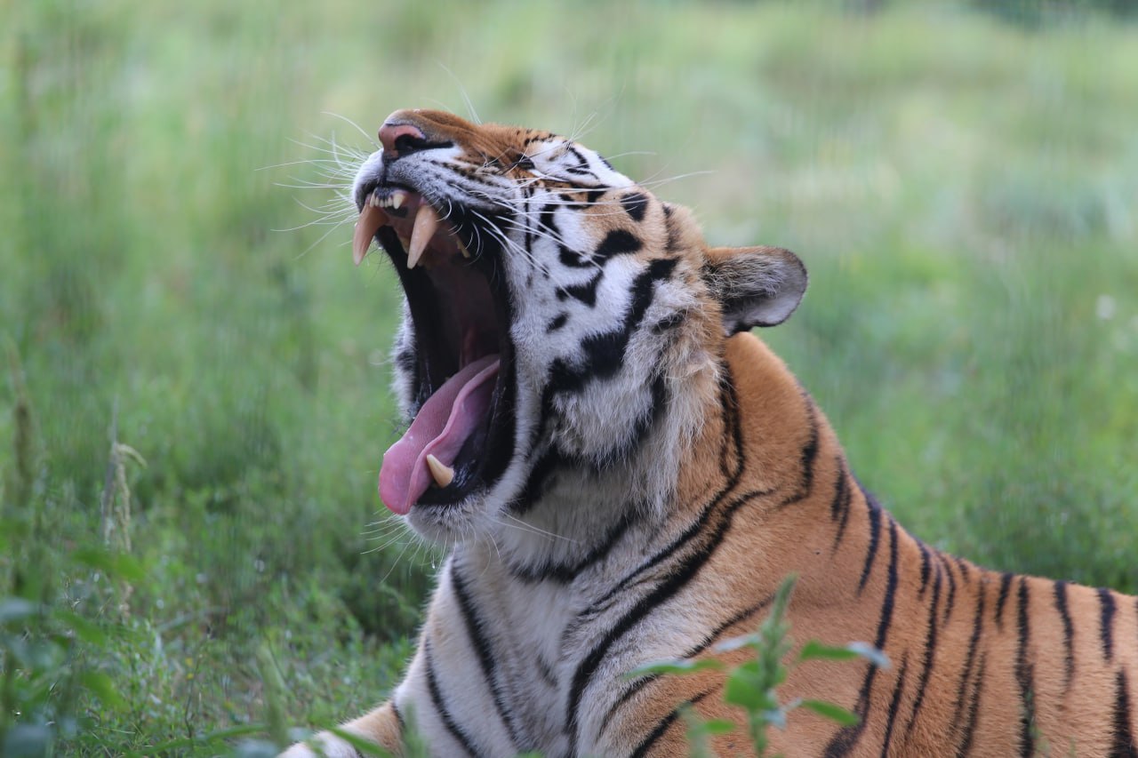 photo 2023 06 23 17 27 36